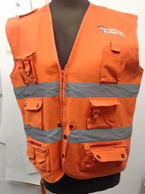 Geólogo de Seguridad